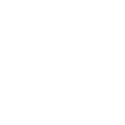 Home Team Icon - Home
